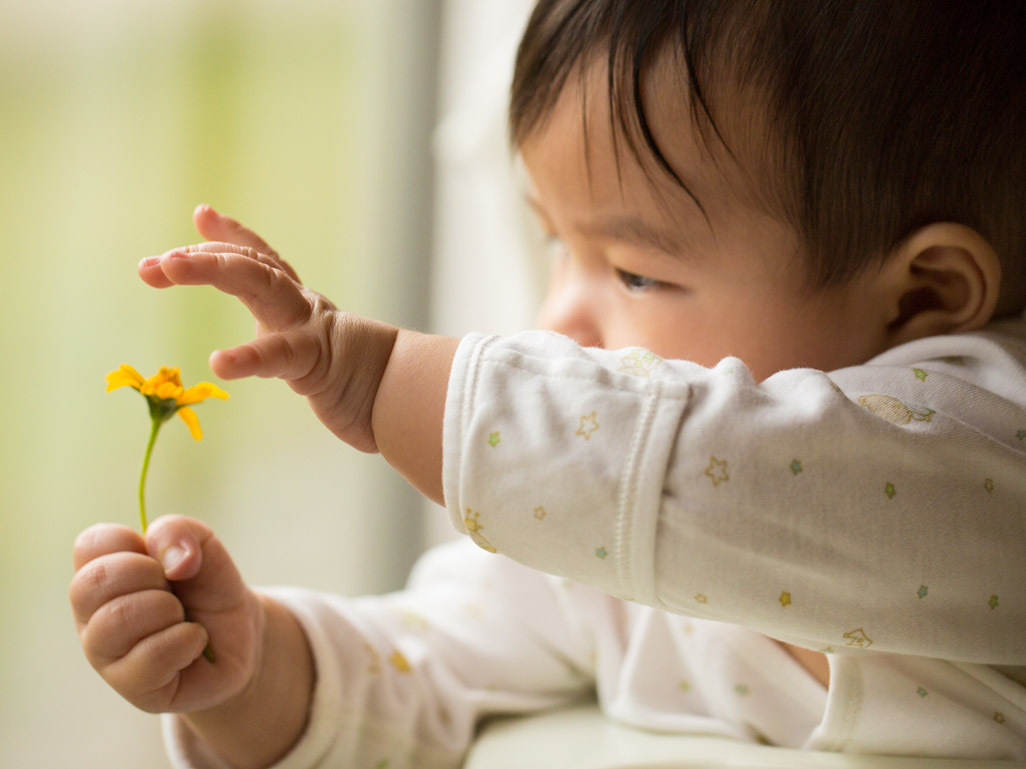 A baby holding a small yellow flower