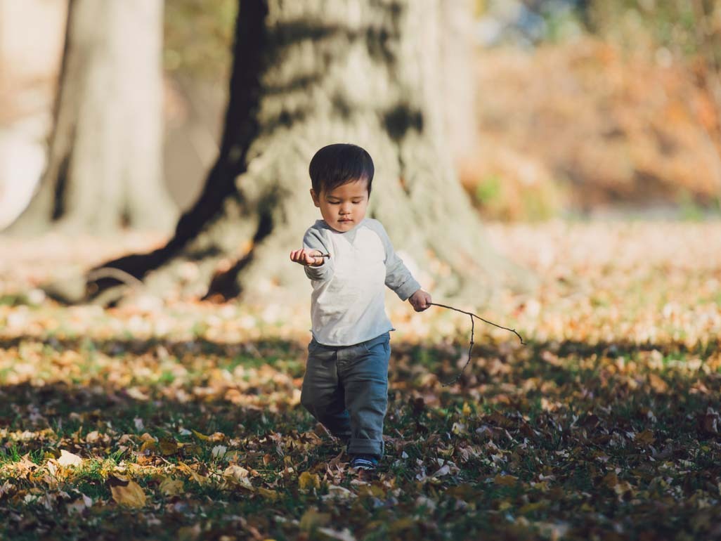 A toddler walking in a wooded park while carrying a stick